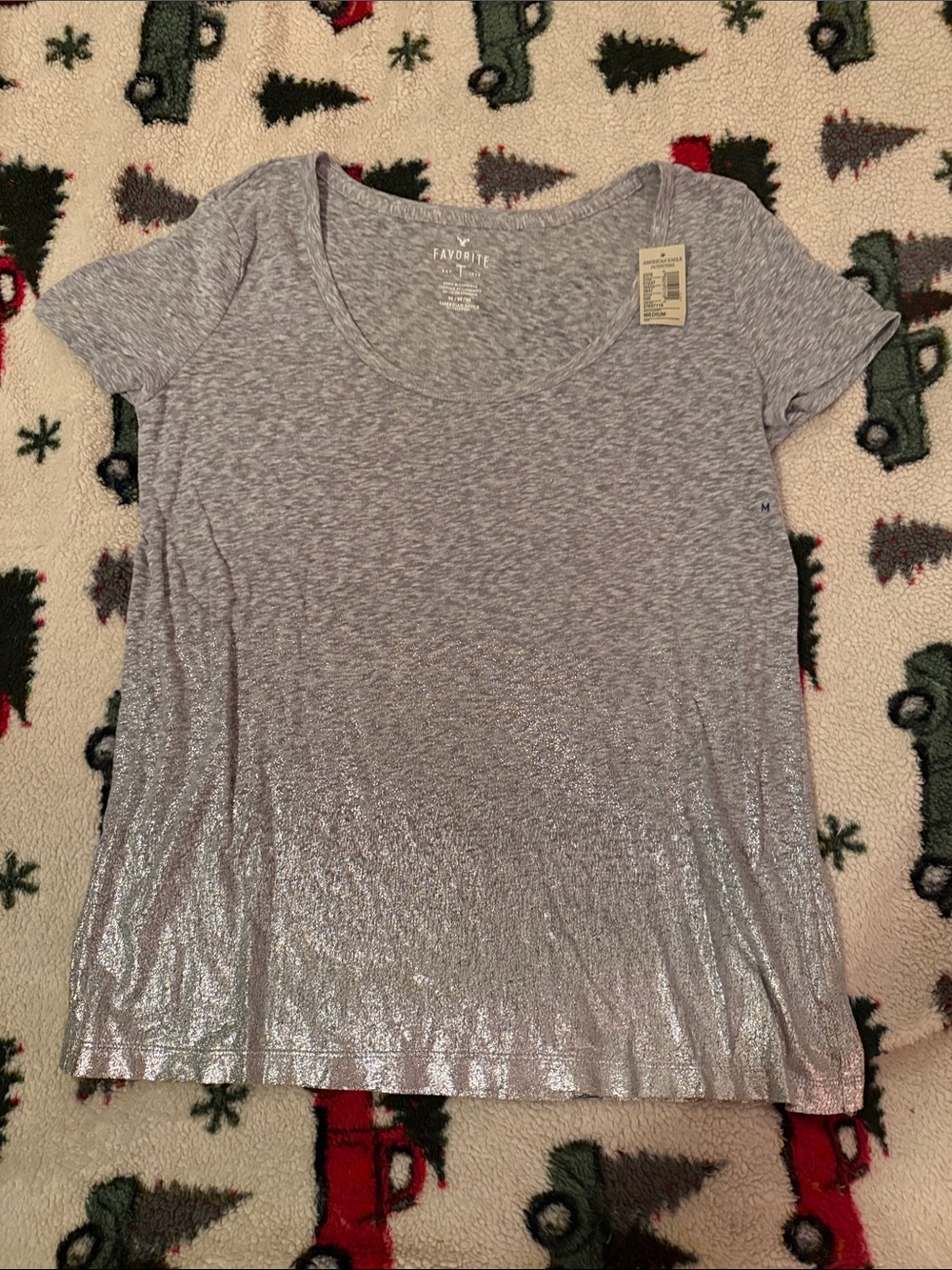 American Eagle Silver Heather Scoop Neck Women’s Top